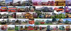 SHOWBUS the display
